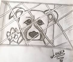 All rights to paintings and other images found on paintingvalley.com are owned by their respective owners (authors, artists), and the administration of the website doesn't bear responsibility for their use. Drawing No To Animal Abuse Hive