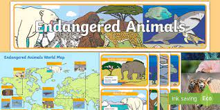 Endangered Animal Display Pack