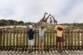 Vakantiepark beekse bergen maakt deel uit van een uniek recreatiegebied dat is omgeven door water en groen. Vakantiepark Beekse Bergen In Hilvarenbeek Die Besten Angebote