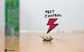 Maybe you would like to learn more about one of these? What To Do Before And After Pest Control Treatment The Urban Guide