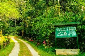 La vida de pedro edgardo. Meeting Honduras Panacam