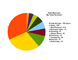 Singing For My Life On Being A Musician My Pie Chart For