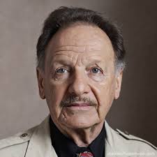 allay minecraft Prompts