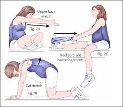 Pin On The Maternity Chapter