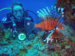There is notably a dizzying array of scuba diving sites south of cancun, guaranteeing divers an. Nautilus Diving And Training Center Cancun Cozumel Cenotes Home Facebook