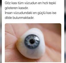 Elif Su Adli Kullanicinin Ekstra Panosundaki Pin 2020 Komik Bilgiler Gercekler Bilgi Karti