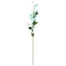 Maybe you would like to learn more about one of these? Mint 32 Ranunculus Stem Hobby Lobby 145359 Sweet Pea Floral Texture Stem