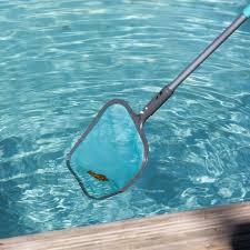 Bleu Pool Style Pas Dapplication Epuisette Epuisettes De Surface Jardin