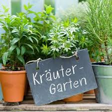 Krauter Und Gartenkrauter Pflanzen Welche Passen Zusammen Krautergarten Anlegen Krauterbeet Anlegen Pflanzen