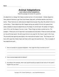 Animal Adaptations Comprehension