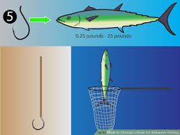 How To Choose A Hook For Saltwater Fishing 11 Steps
