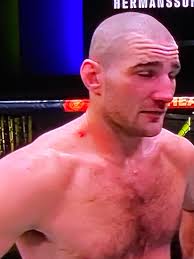 48-47 Hermansson? Sal D'Amato borde få sparken. : r/ufc