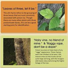 Maybe you would like to learn more about one of these? Adventures In The Outdoors Advice Recognizing Poison Ivy Poison Ivy Fishing Tips Advice