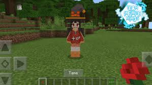 Are there any decent tutorials out there? Waifus For Minecraft Pocket Edition 1 16
