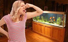 7 Reasons Why Your Fish Tank Stinks And How To Fix It Fish Tank How To Make Fish Tank