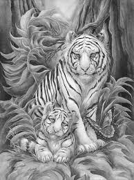 Kleurplaten van wilde dieren huisdieren enge dieren en lieve dieren. Kleurplaat Tijger Moeilijk