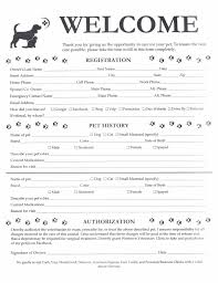 Dog Grooming Dog Training Dog Stuff Dog Ideas Dog Care Rescuedog In 2020 Dog Grooming Shop Pet Grooming Business Dog Grooming Salons