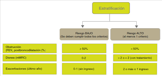 Global strategy for the diagnosis, management, and prevention of chronic obstructive pulmonary disease: Vista De Enfermedad Pulmonar Obstructiva Cronica Y Comorbilidad Journal Of Negative And No Positive Results