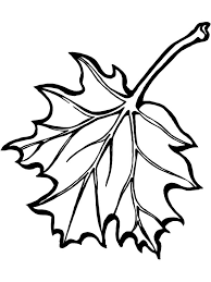 Print the picture palm leaf. Awesome Picture Of Maple Leaf Coloring Page Kids Play Color