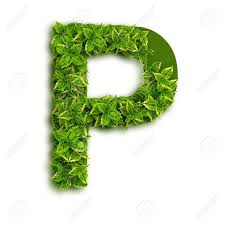 If you're new to the world investing, then you may want to look into investing in an s&p 500 index fund. Letter P Alphabet Of Green Leaves Isolated On White Background Stock Photo Picture And Royalty Free Image Image 15402907