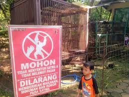 Nomor telepon kebun binatang mangkang semarang : Jalan Jalan Ke Kebun Binatang Semarang Yuk Permata Pengalamanku Lifestyle Blogger