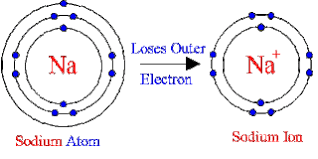Question 3.13 Explain Why Cations Are Smaller And Anions Larger In Radii Than  Their Parent Atoms? Class Xi - Brainly.In