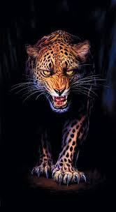 صور خلفيات للهاتف نمر Big Cats Art Leopard Art Cat Art