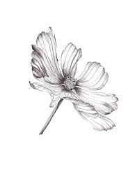 Printable Black And White Botanical Prints This Item Is Unavailable Floral Prints Art Wall Art Prints Watercolor Art Prints