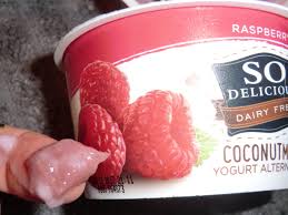 Ingredients coconutmilk yogurt alternative : A Review Of So Delicious Coconut Milk Alternative Yogurt Delishably