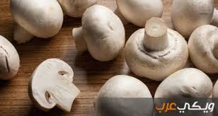 الحلقة 2حشمت في البيت الابيض. ÙÙˆØ§Ø¦Ø¯ Ø§Ù„ÙØ·Ø± Ùˆ Ø£Ù†ÙˆØ§Ø¹ Ø§Ù„ÙØ·Ø± Ùˆ Ø§Ù„ÙØ·Ø± Ø§Ù„Ø£Ø¨ÙŠØ¶ Ùˆ ÙØ·Ø± Ø§Ù„Ù…Ø­Ø§Ø± Ùˆ ÙØ·Ø± Ø¨ÙˆØ±ØªÙˆØ¨ÙŠÙ„Ù„Ùˆ Ùˆ ÙØ·Ø± Ø´ÙŠØªØ§ÙƒÙŠ Ùˆ