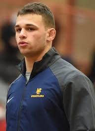Stout leads Mt. Lebanon wrestlers in sectional