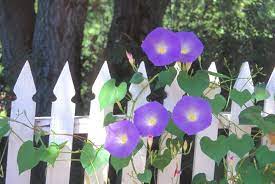 Pin On Patio Ideas