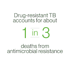 Active tb disease most often affects the lungs, but can involve any part of the body. Antimicrobial Resistance Tb Alliance