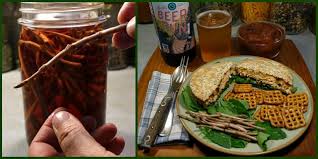 Hop dish.search instead for hop shoots dish. Hop Shoots The Other Hop Crop 5 Ways To Eat Hop Shoots Steemit