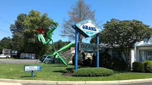 You can see how to get to aaa radiology on our website. Insectropolis 1761 U S 9 Toms River Nj 08755 Usa