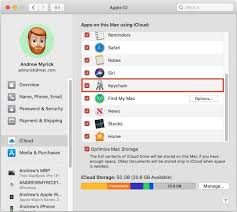 Enter your app's name in the text field. Find Passwords Iphone S Email Mail Accounts In Ios 13 12 11 Appletoolbox