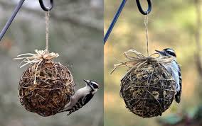 Homemade Bird Feeders For Small Birds Only Diy Suet Feeders Bird Feeder Plans Bird Feeders Diy Bird Feeder