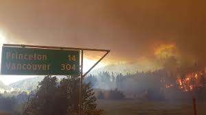 Maybe you would like to learn more about one of these? Government Neglect To Blame For Wildfire Chaos Not Just Heat Waves And Climate Change Ctif International Association Of Fire Services For Safer Citizens Through Skilled Firefighters