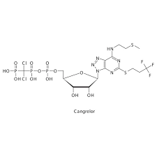 Image result for Cangrelor