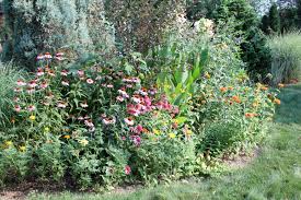 Oct 09, 2015 · perennial plantings need a bit of planning though. Perennials For All Season How To Plant Them And Why The Evergreens Look Brown This Weekend In The Garden Pennlive Com