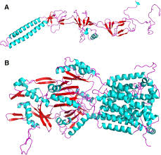 مشاهدة فيلم مش انا 2021. The Nature And Epidemiology Of Oqxab A Multidrug Efflux Pump Antimicrobial Resistance Infection Control Full Text