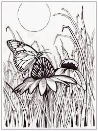 Welcome in free coloring pages site. Realistic Butterfly Coloring Pages