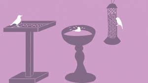 How do you prevent pigeons in bird feeders? How To Feed Birds In Your Garden The Wildlife Trusts