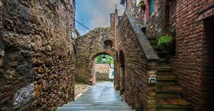 Image result for Montinia