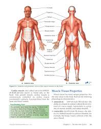 Introduction To Medical Terminology 1st Edition Page 63 79 Of 512