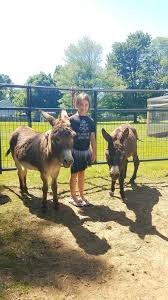 Maybe you would like to learn more about one of these? Mobile Petting Zoo Services Firefly Fields