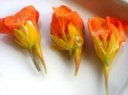 Pin On Flower Recipes