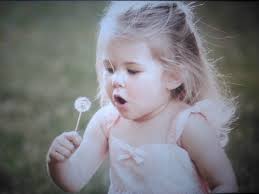 Photography by Liz Morello