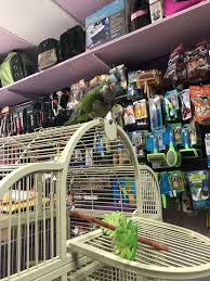 142 havemeyer st, brooklyn (ny), 11211, united states. Pet Stores Near Downtown Brooklyn Brooklyn