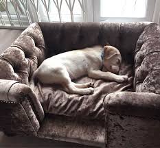 Fetch caters for all your dog beds needs. Large Luxury Dog Beds Cheap Buy Online